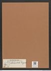 Navicula bicaptitata Lagerst. (de-Toni-Nr.: Genus 1, Species 57) Zeichnungen Sammlung Grunow Mappe 00049 (Herbarium_W_Grunow_drawings_Folder_00049)